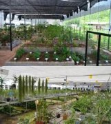 中药小镇景观设计要重视哪些方面