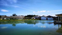 现代园林景观设计中容易出现哪些误区，如何避